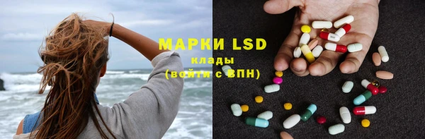 прущие грибы Баксан