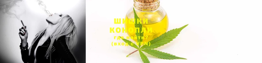 прущие грибы Баксан