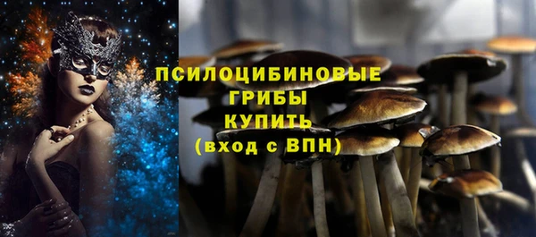 прущие грибы Баксан
