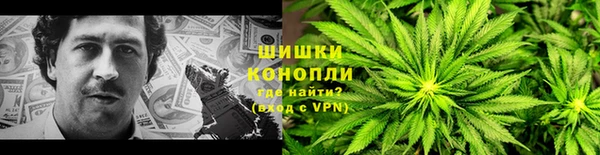 прущие грибы Баксан