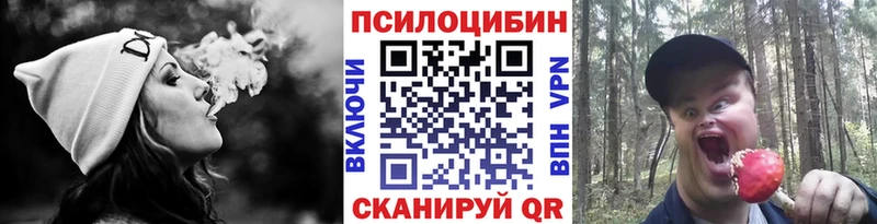 Галлюциногенные грибы GOLDEN TEACHER Буинск